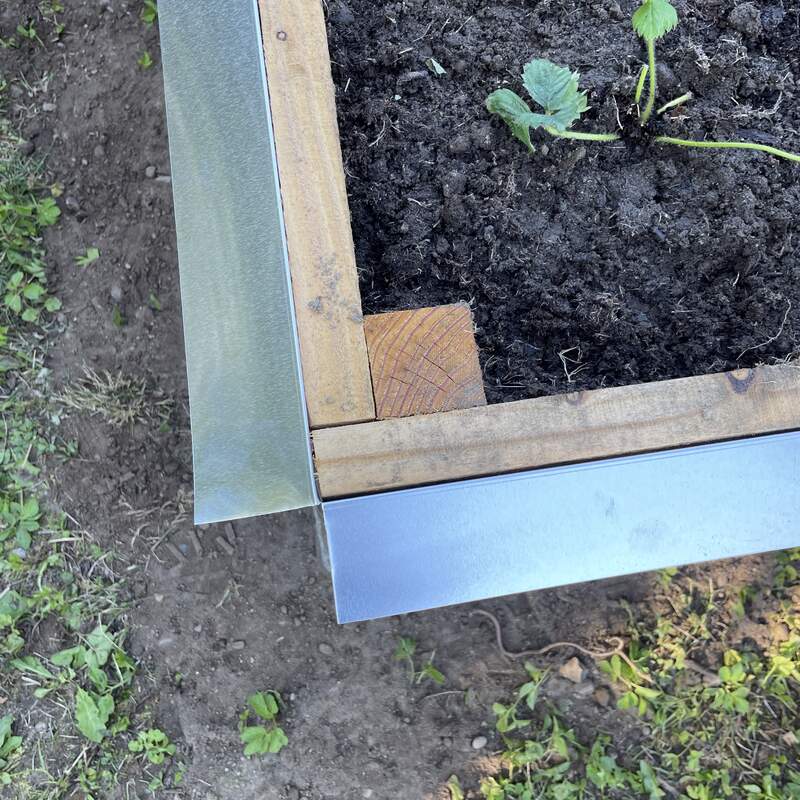 Sneglehegn i rustfrit stål, nærbillede