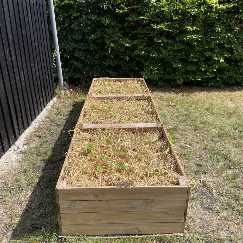 Beplantet bed hos kunde