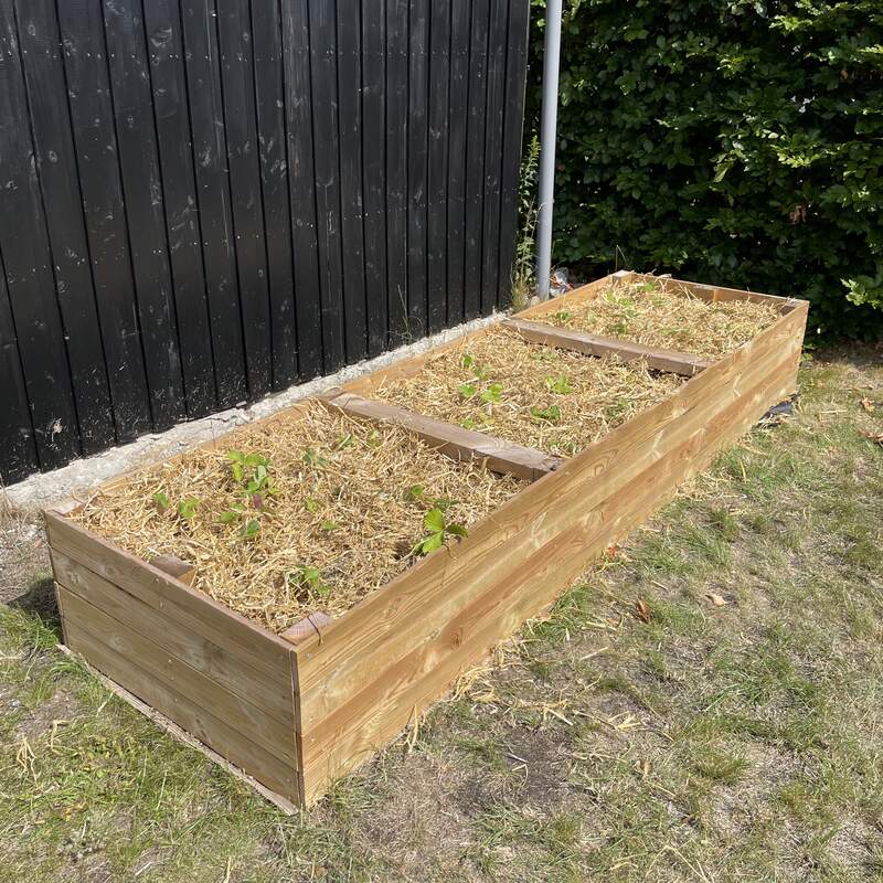 Beplantet bed hos kunde, nærbillede