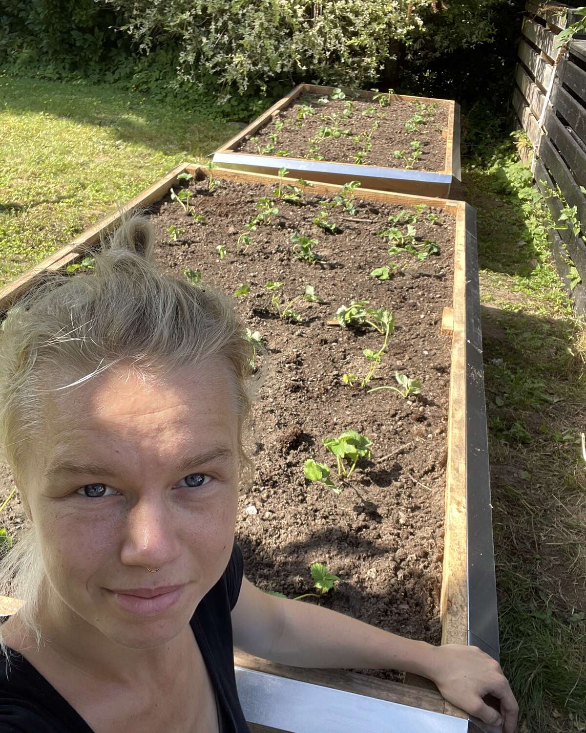 Laura med jord på hænderne ved højbed
