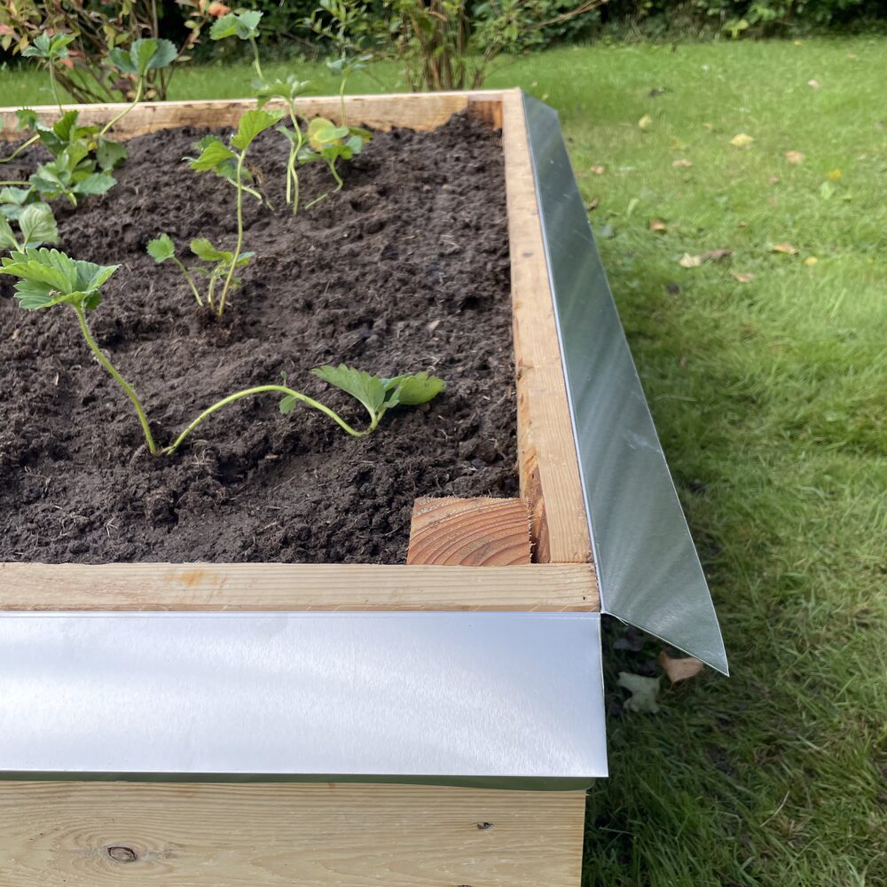 Sneglehegn hele vejen rundt om et nyplantet bed
