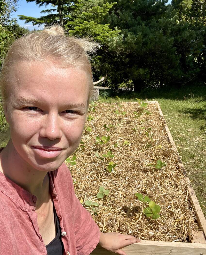 Portræt af Laura ved jordbærbedet
