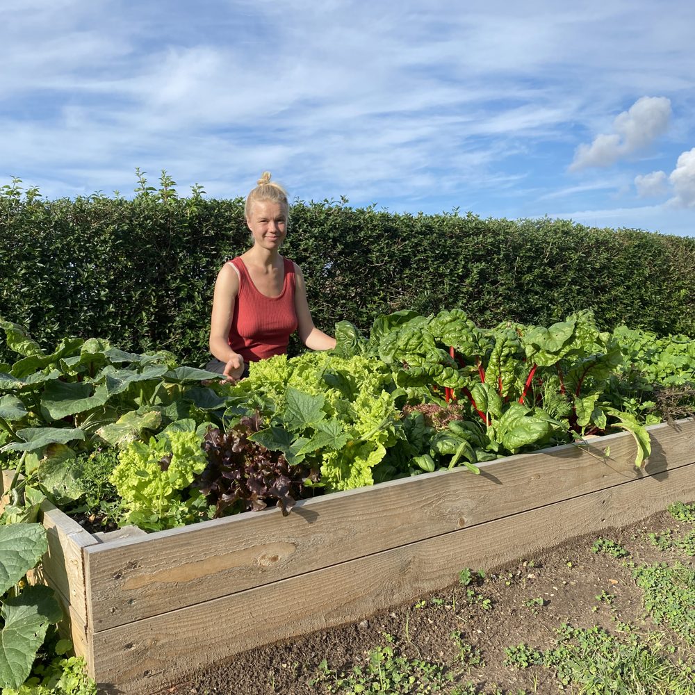 frodig køkkenhave på langs, med Laura bag bedet